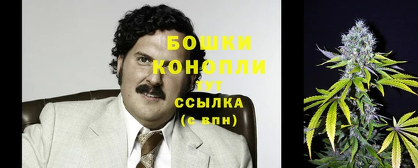 соль курить ск Новозыбков
