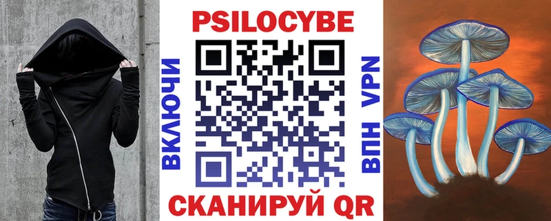 магазин продажи   Тулун  Галлюциногенные грибы Cubensis 