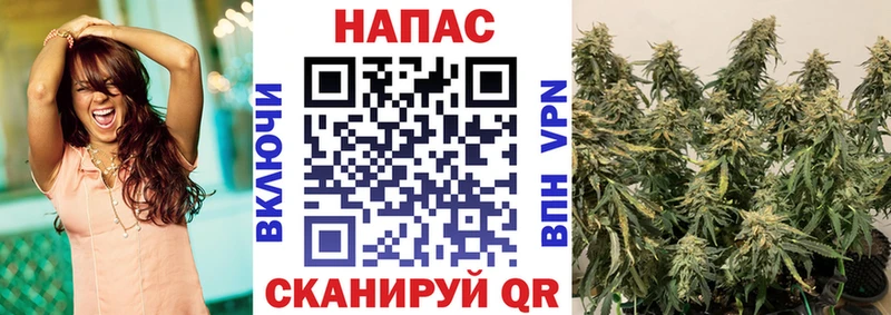 сколько стоит  Тулун  darknet наркотические препараты  Канабис планчик 